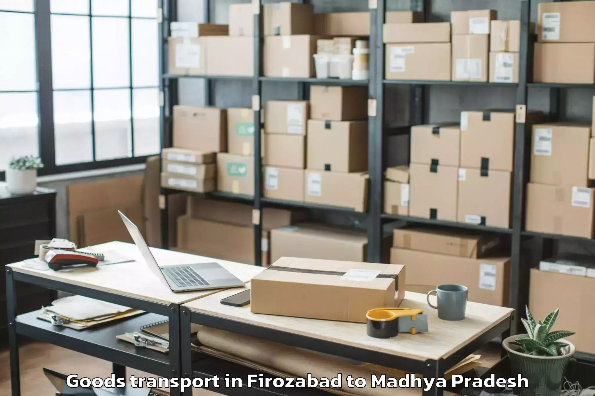 Top Firozabad to Alot Goods Transport Available